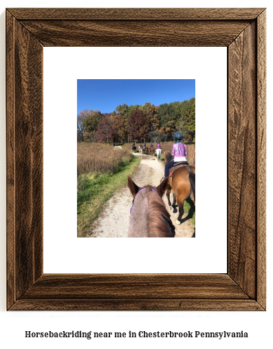 horseback riding near me in Chesterbrook, Pennsylvania